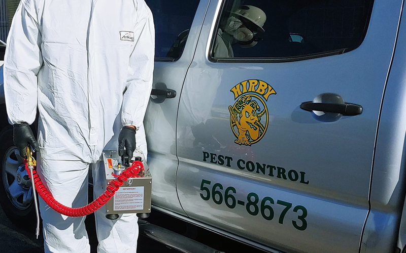 Weed Control Hirby Pest Control El Paso TX