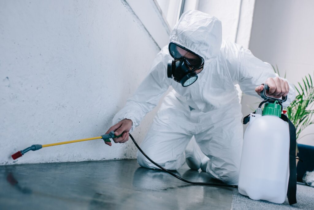 Fumigation Services Hirby Pest Control El Paso, TX