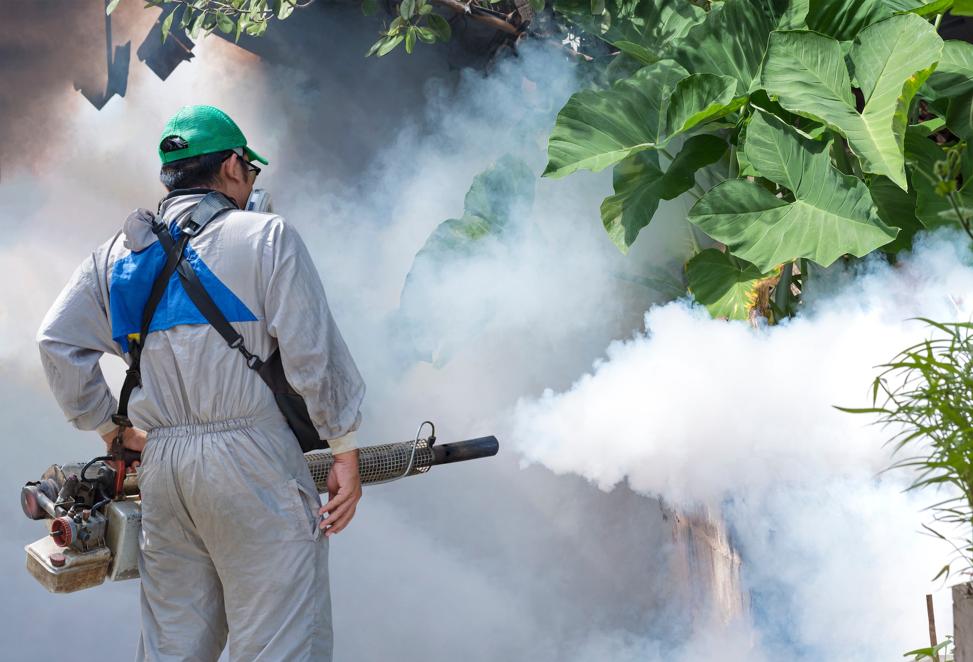 Healthcare worker is spraying chemical to eliminate mosquitoes on overgrown at slum area